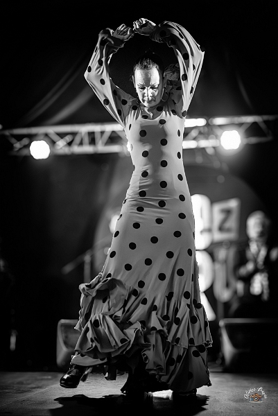 flamenco (83)